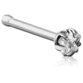 Nosovka hvězdičky s crystalem