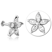 Labreta kytička 1.0/6.0