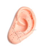 On-line seminář "Piercing podle čínské medicíny" - záznam