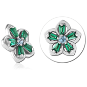 Zelený lísteček 1.2