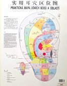 On-line seminář Piercing podle čínské medicíny - 17.3.2026